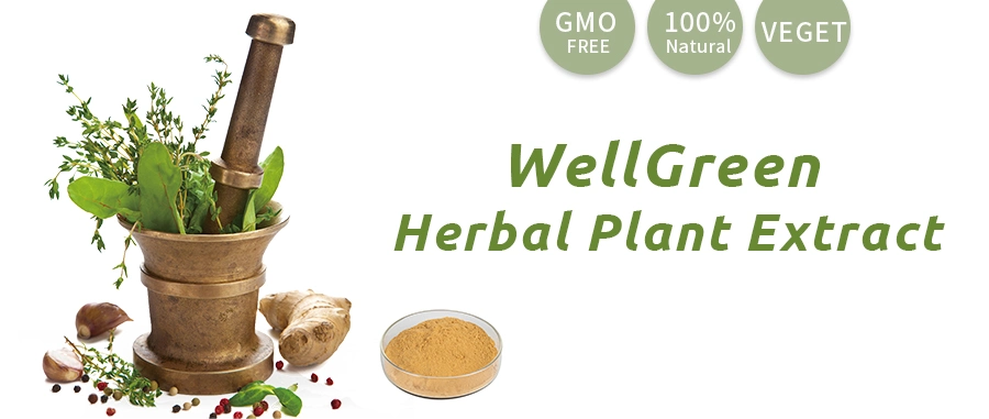 Professional Processing Herb Factory Custom Chinese Traditional Medicine Powder Herbal Extract